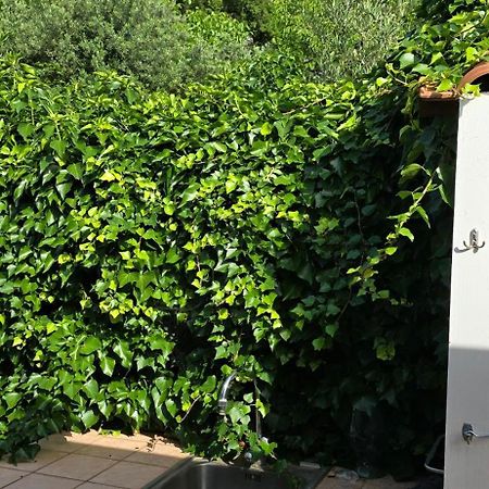 Villa Margherita Maratea Buitenkant foto